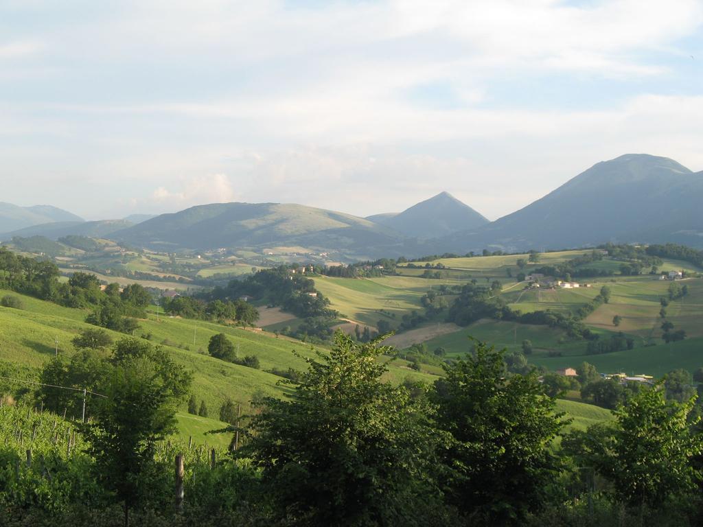 Locanda Dell'Istrice Camerino Quarto foto